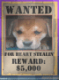 Wanted frame