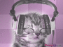 kitty rockin