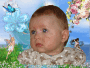 EDVIN