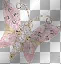 pink butterfly