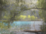 background background