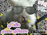 El retorno de conejito