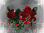 THE ROSE THE ROSE