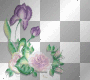 purple flowers