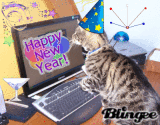 wondercat1