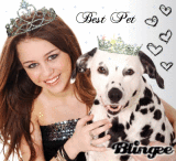 Miley & a dalmatian