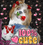 cookie