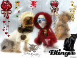 Blingee