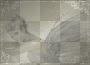 fairy