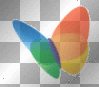 msn butterfly