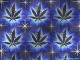 WEED BACKGROUND