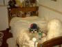 allenmvp_3