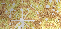 Gold Glitter Fill