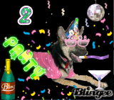 NYE 2008