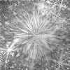 Silverburst