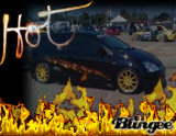 hot car