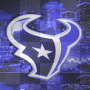 Houston Texans