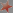 Star42