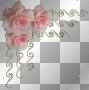 rose de cadre rose de cadre