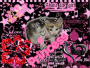 caia of princess 2