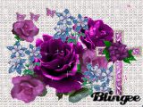 MY PURPLE ROSE