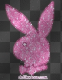 playboy