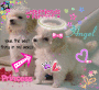 Roxygerl97 Roxygerl97