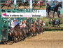 Horse Racing