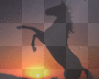 FOND CHEVAL