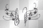 Music Notes
