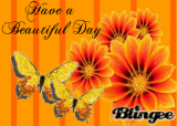 Have a Beautiful Day