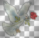 Dove and rose