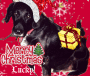 Merry Christmas, Lucky-Boy!