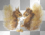 squirrels
