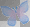 Pretty buterfly