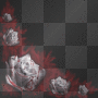 bloody rose