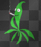weed smokes