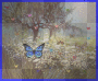 Butterfly Garden