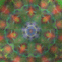 i have two hundred images with cool colors the best