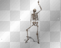 skelliton