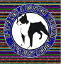 Boston Terrier