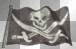 Pirate Flag