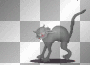 cat