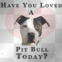 pit