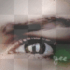 mcr13