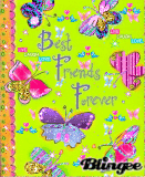 Best friends butterflies Best friends butterflies