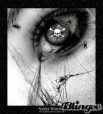 Spider Eyes Spider Eyes