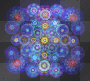 animation23 animation23