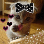 pinkdancer1