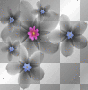 Black flowers